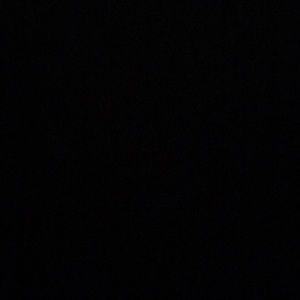 Meet your Posher, Raven